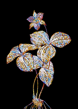 Prismatic Mosaic Botanical