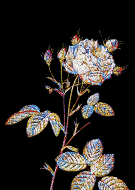 Stained Glass Rose Flower