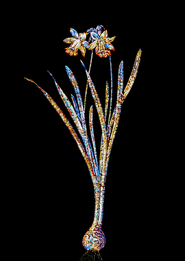 Stained Glass Daffodil