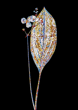 Stained Glass Botanical
