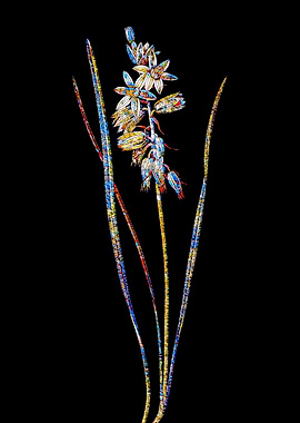 Prismatic Mosaic Botanical