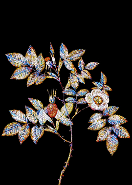 Stained Glass Rose Flower