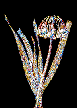 Stained Glass Lily Flower