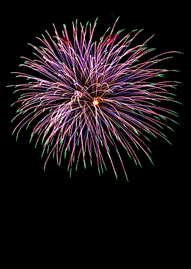Firework