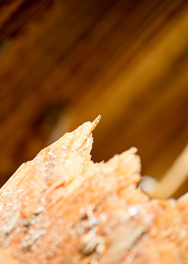 Cutted Wood Abstract