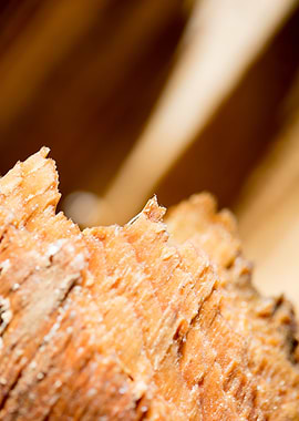 Cutted Wood Abstract