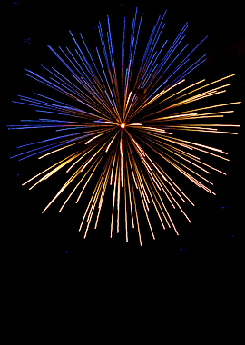 Firework