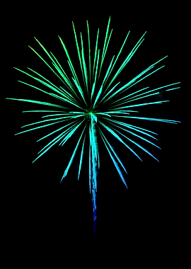 Firework
