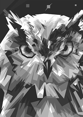 OWL BW WPAP