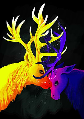 No light without shadow