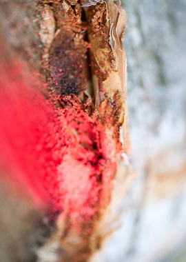 Wood macro trippy abstract