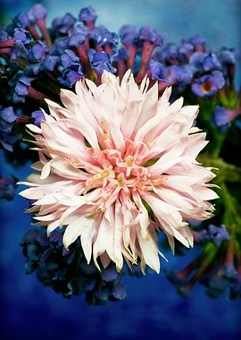 Beautiful flower macro art