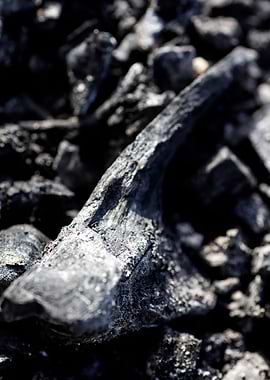 Burned Wood Abstract Print