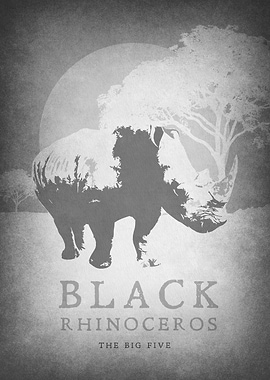 Black Rhinoceros