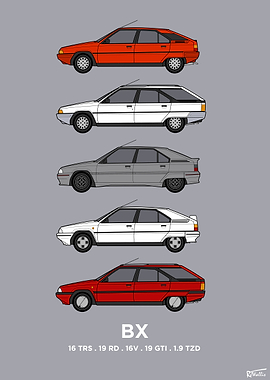 Citroen BX Collection