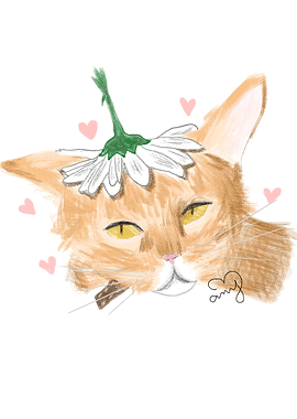 Cat with Flower