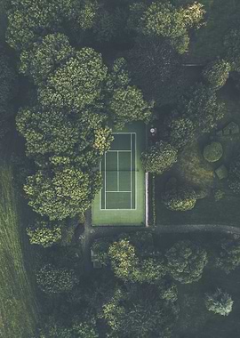 Tennis In The Forest
