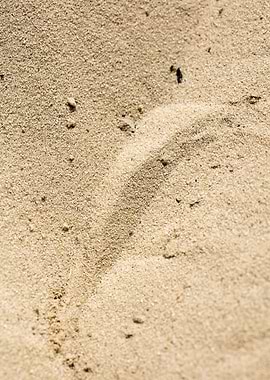 Sea sand macro fine prints