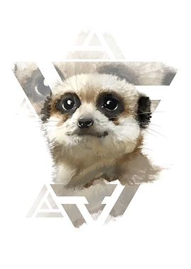 Meerkat Edge