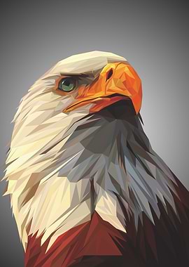 eagle lowpoly art