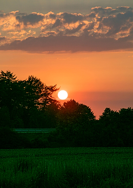 Beutiful sun gazing prints