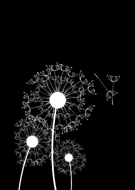 Dandelion Black White 3