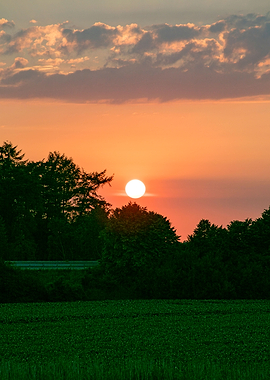 Beutiful sun gazing prints