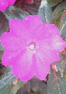 Face of the Princess