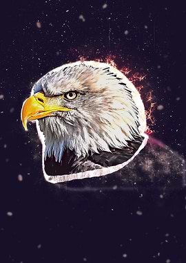Bald Eagle Portrait