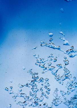 Iced window macro abstract