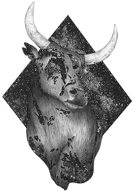 Cosmic Bull
