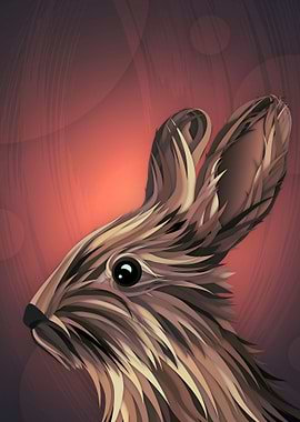 Rabbit illustration