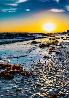 Florida Sunset at Beach