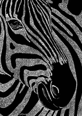 Zebra White Dots on Blac