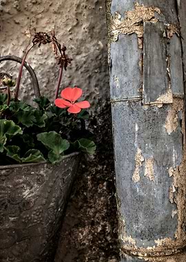 Vintage still life flower