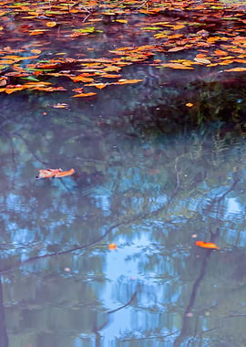 autumn reflection on lake