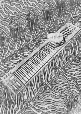 Midi Keyboard