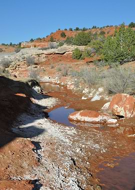 along bryce canyon