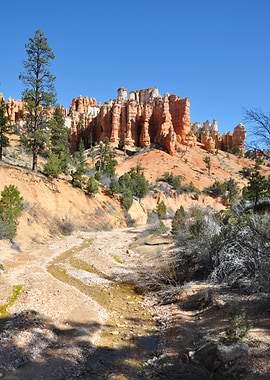 along bryce canyon