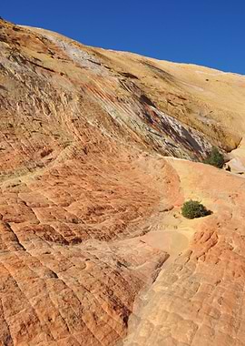 yellow rock mountain
