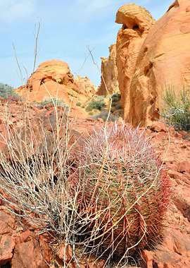 valley of fire nevada