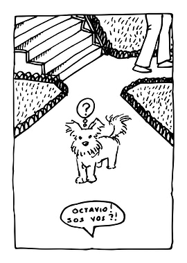 Looking for a lost dog