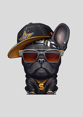 Black Frenchie Hip Hop
