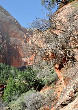 zion canyon nationalpark