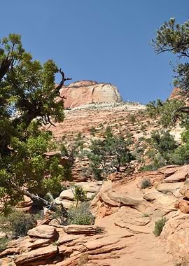 zion canyon nationalpark
