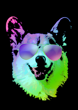 Cool Corgi