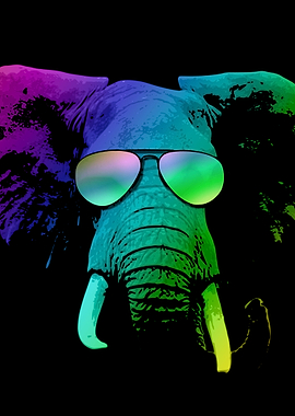 Cool Elephant