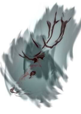 Deer in mist