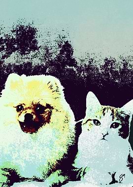 DOG AND CAT