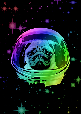Space Pug